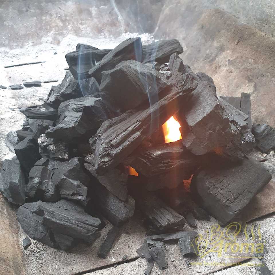 Starting Charcoal